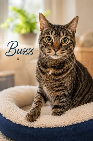 Buzz & Jesse: Bonded (FCID# 08/14/2024-2,4 Trainer