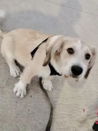 Eddie