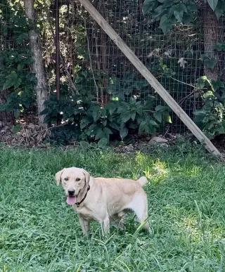 Marley