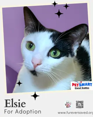 Elsie