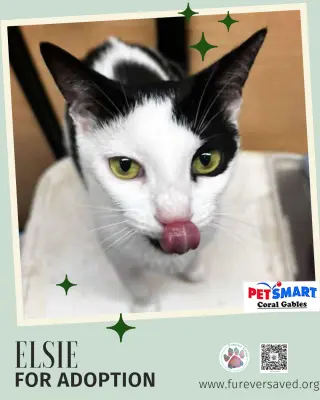 Elsie