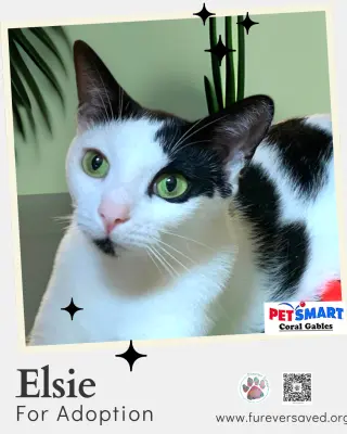 Elsie