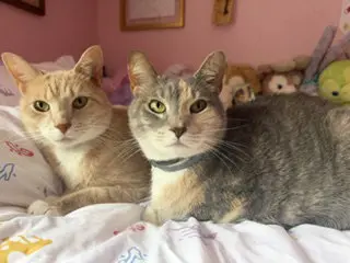 Vader (bonded with Cassie)