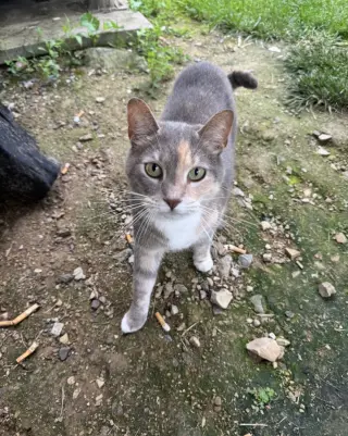 Cassie (bonded with Vader)