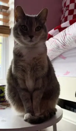 Cassie (bonded with Vader)