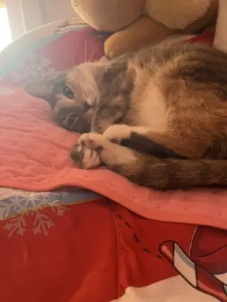 Cassie (bonded with Vader)