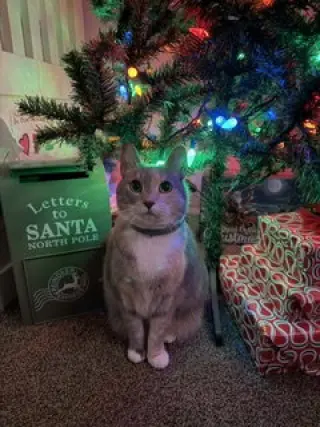 Cassie (bonded with Vader)