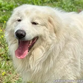 CJ in AL - Outgoing, Playful & Loving!