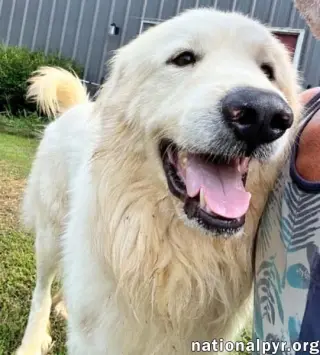 CJ in AL - Outgoing, Playful & Loving!