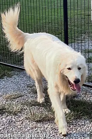 CJ in AL - Outgoing, Playful & Loving!