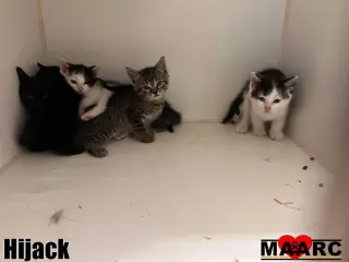 Hijack