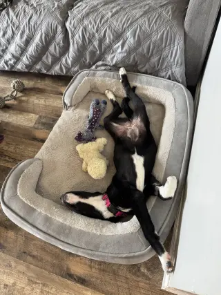 Winnie