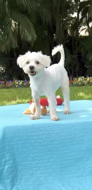 Casper