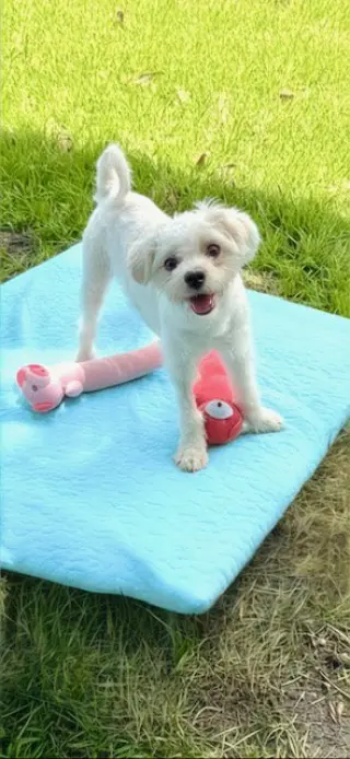 Casper