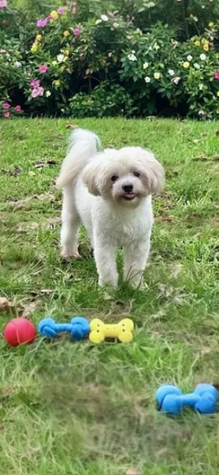 Casper