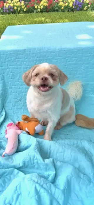 Cosmo