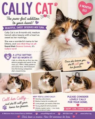 Cally Katt - Delicate Scared Beauty! SWEET!