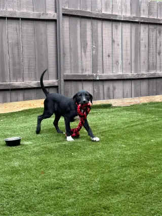 Ruby