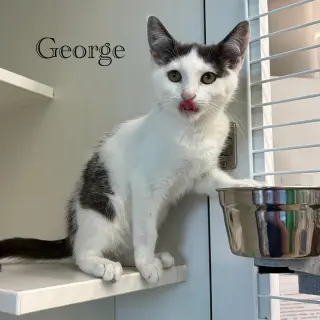 George