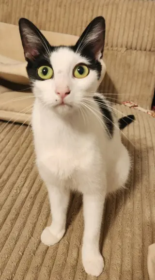Maggie