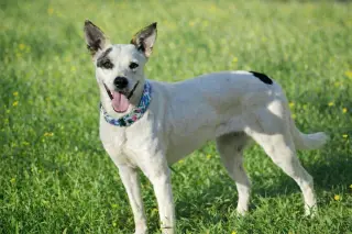Ethel Mae