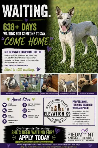 Ethel Mae