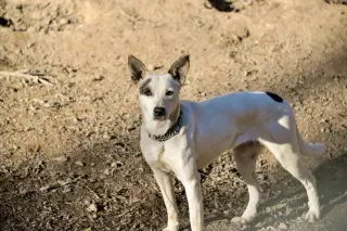 Ethel Mae
