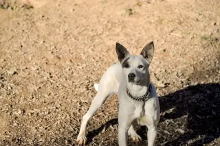 Ethel Mae