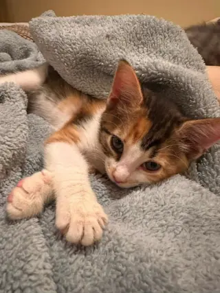Ruby