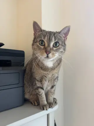 Figgy and Luna