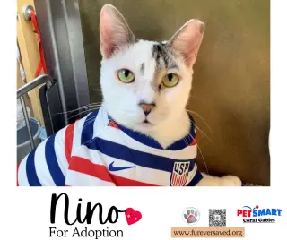 Nino