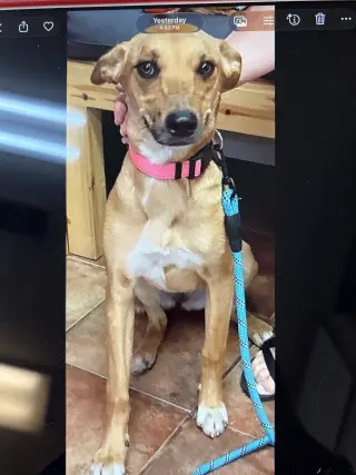 Winnie