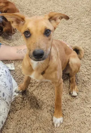 Winnie
