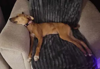 Winnie