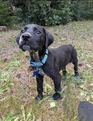 Milo