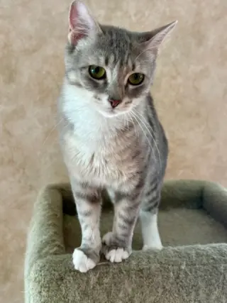 Minnie