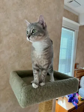 Minnie
