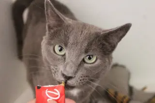 Nimbus