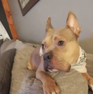 Deuce