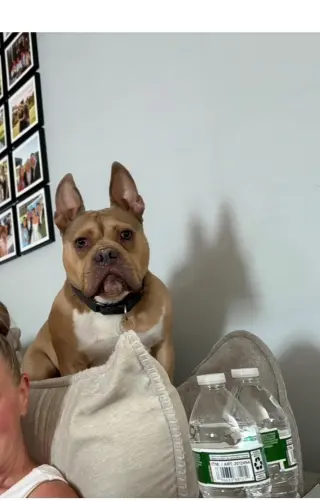 Deuce