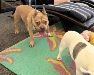 Deuce