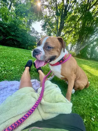 Otis