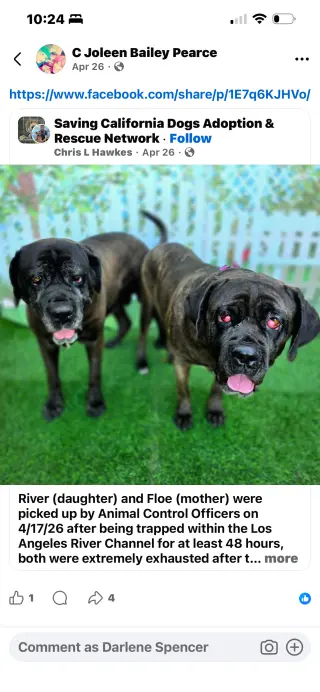 Flora