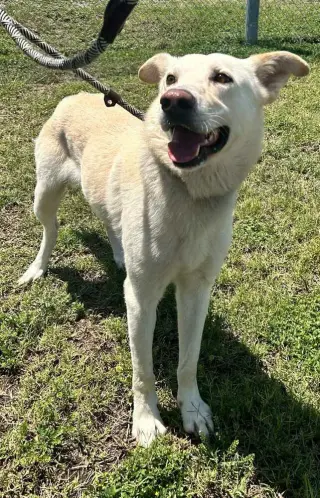 Jude