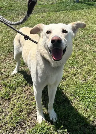 Jude