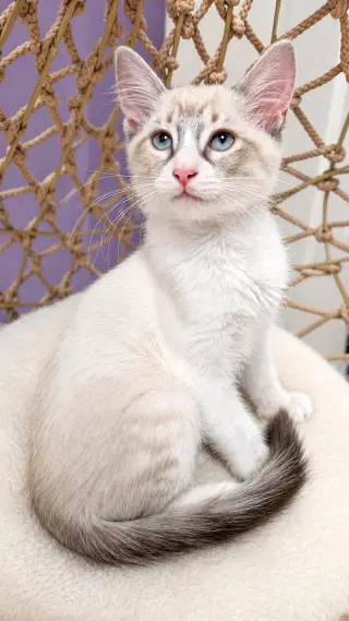 Vivienne