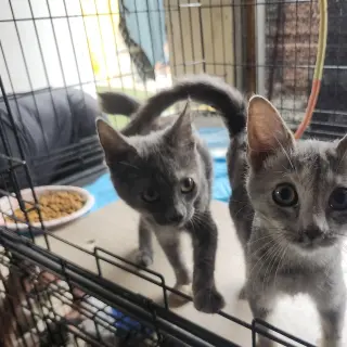Itsy & Bitsy