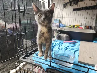 Itsy & Bitsy