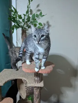 Minnie