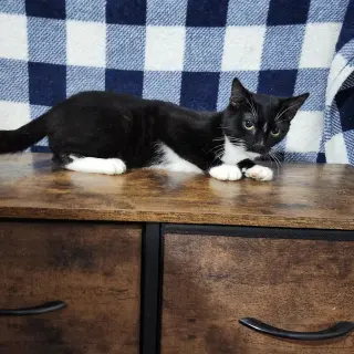 Mcracken